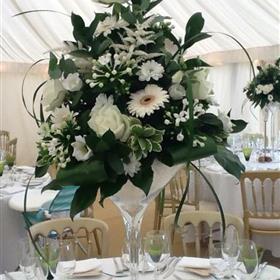 fwthumbWedding 46.jpg